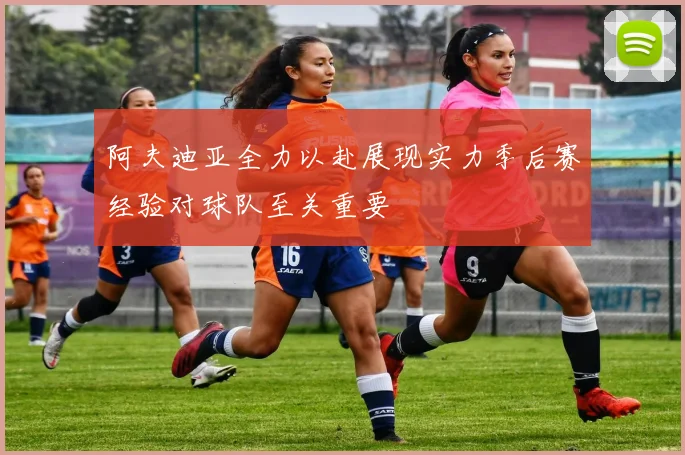 阿夫迪亚全力以赴展现实力季后赛经验对球队至关重要